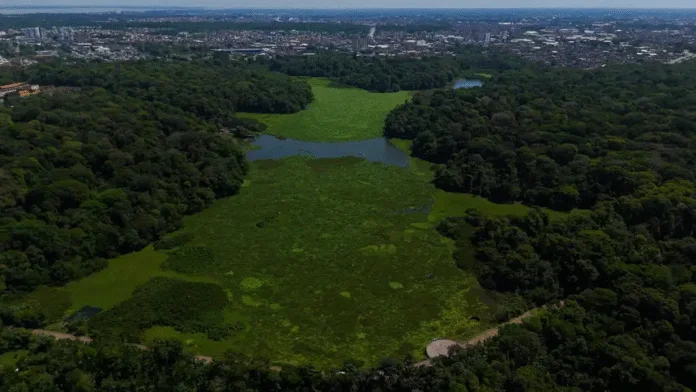 Cosanpa realiza limpeza nos lagos Bolonha e Água Preta