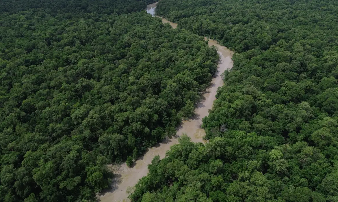 Programação do Dia da Amazônia mobiliza para COP30