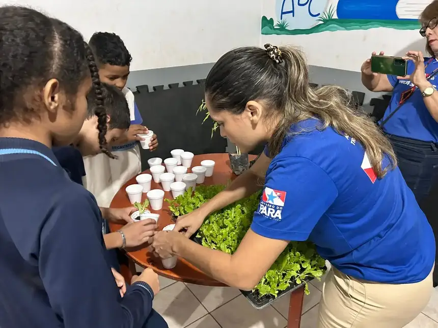 Pará recebe premiação ‘Brasil Sem Fome’ por avanços na redução da insegurança alimentar
