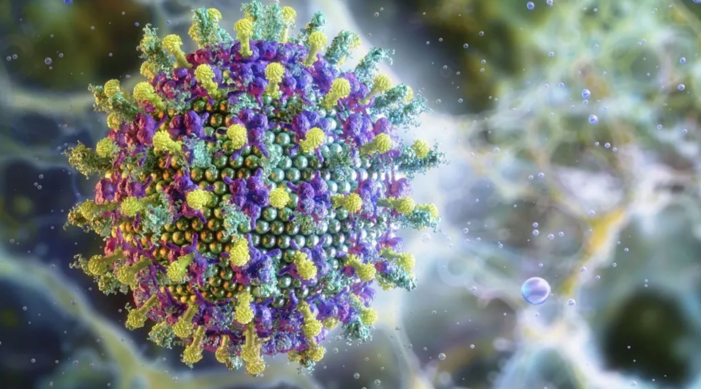 Hantavírus causa 1ª morte no Brasil em 2026; vítima era lavrador
