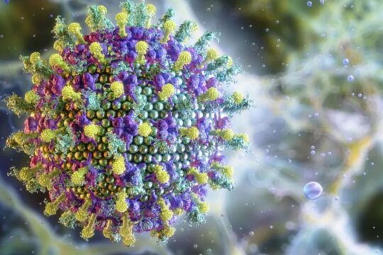 Ministério da Saúde diz que vírus Nipah não ameaça o Brasil