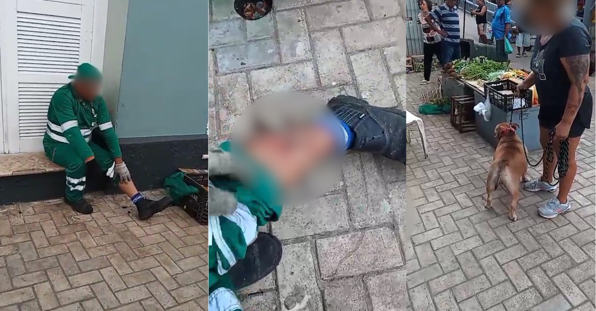 Gari é atacado por cachorro no Ver-o-Peso, em Belém