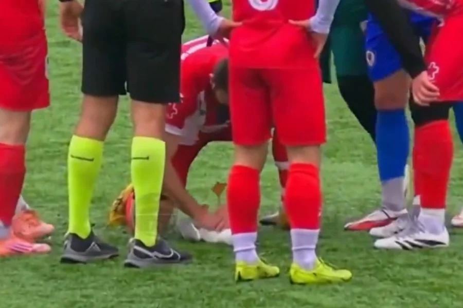 Gaivota é atingida por bola e paralisa final na Turquia; jogador faz reanimação