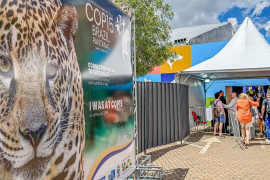 Brasil sedia encontro mundial sobre proteção das espécies migratórias