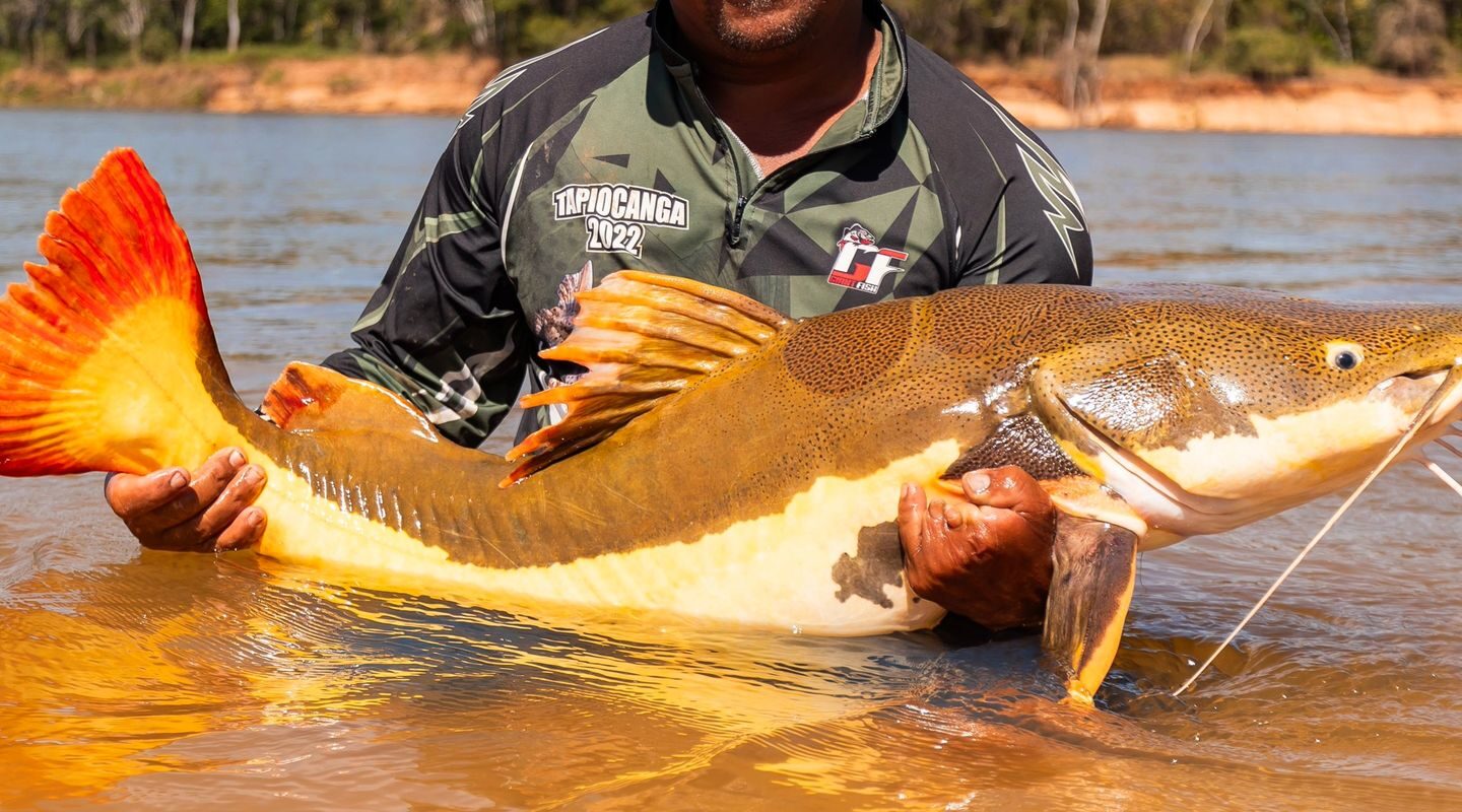 COP15 amplia proteção a peixes da Amazônia e ariranha