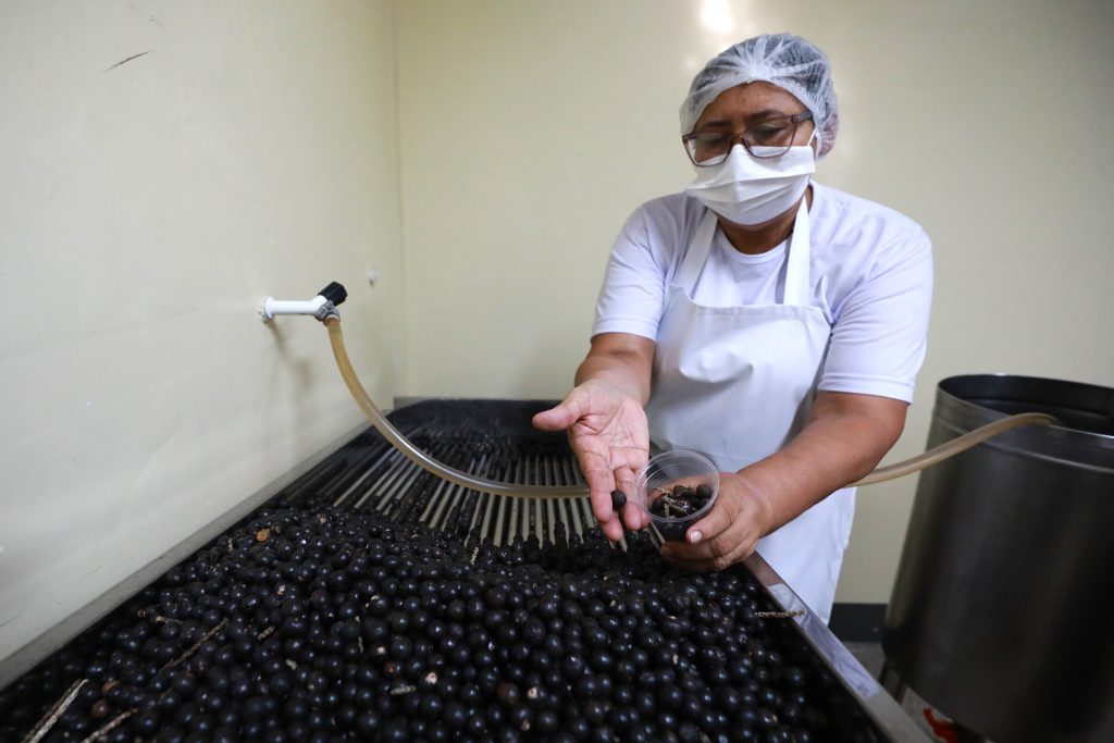 Prefeitura capacita 40 mulheres na produção de açaí em Belém