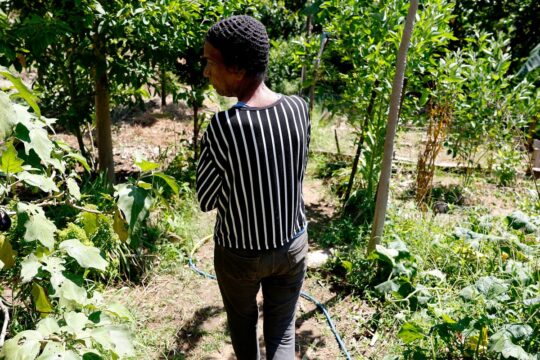 Horta comunitária reúne memória, cuidado e cidadania em favela do Rio