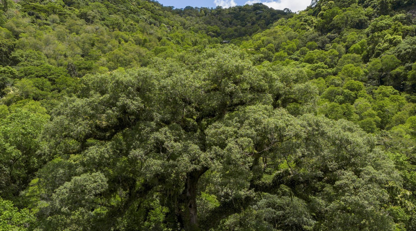 Seleção TV Brasil: conheça os 12 contemplados na linha sobre natureza