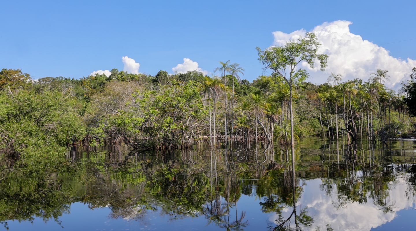 Tesouro muda regras de leilão para projetos sustentáveis