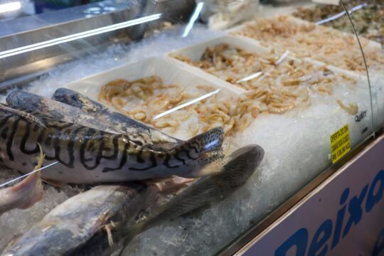 Vigilância Sanitária orienta sobre compra de pescado na Semana Santa