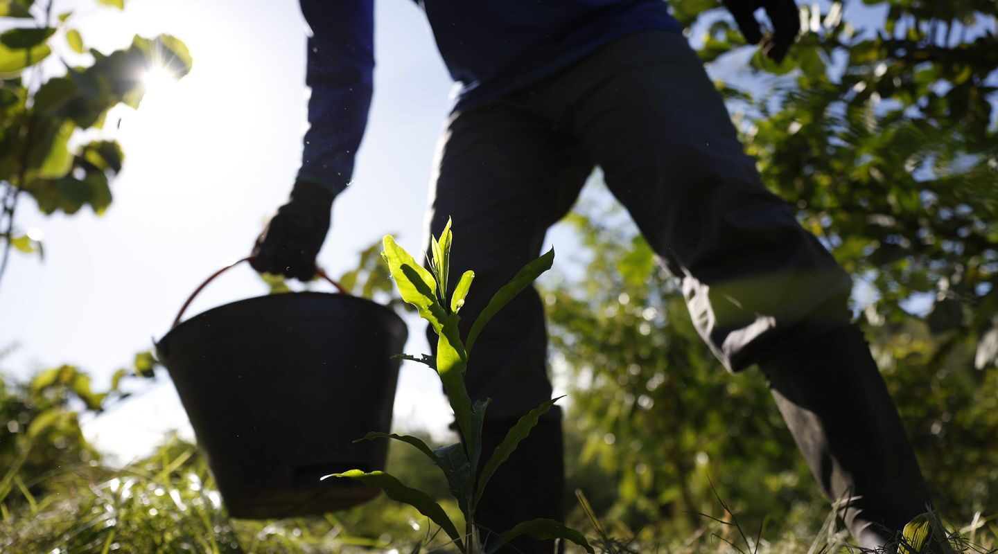 Governo apresenta plano para desenvolver bioeconomia no país