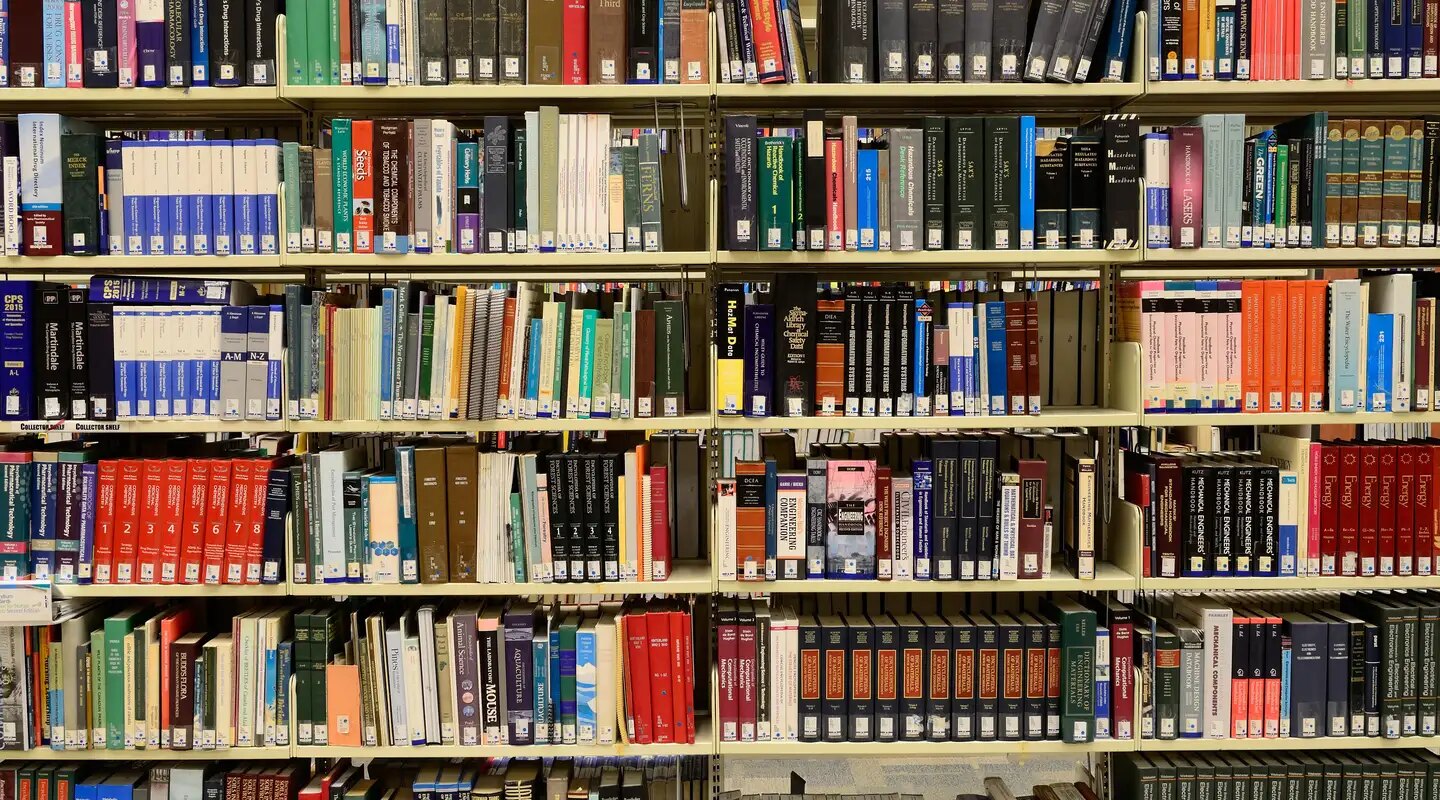 MEC lança app com 8 mil livros grátis; veja como acessar