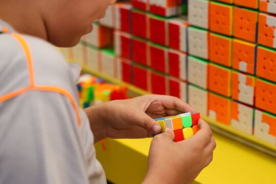 Começa primeira etapa do Censo da Educação Básica 2026