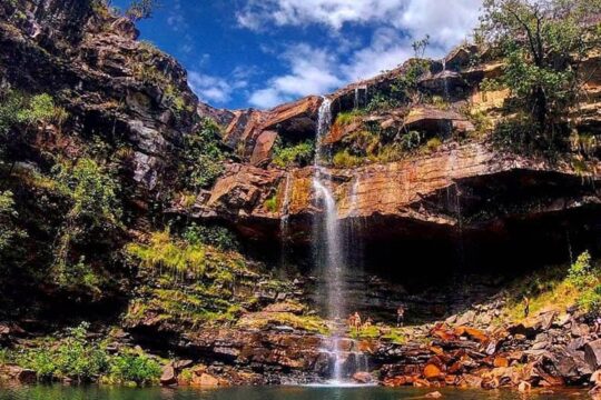Criança de 8 anos é atacada por onça na Chapada dos Veadeiros