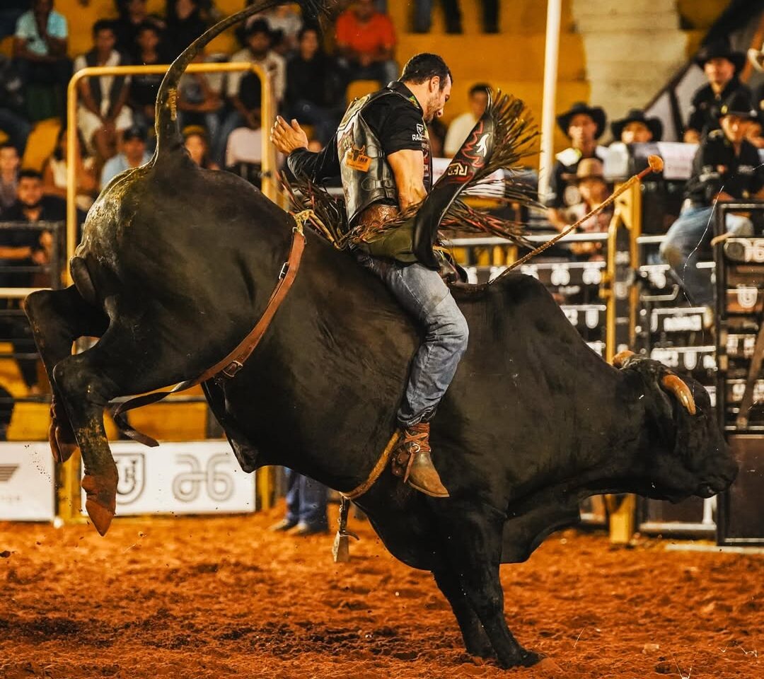 Ministério Público fiscaliza condições de animais em rodeio no Pará
