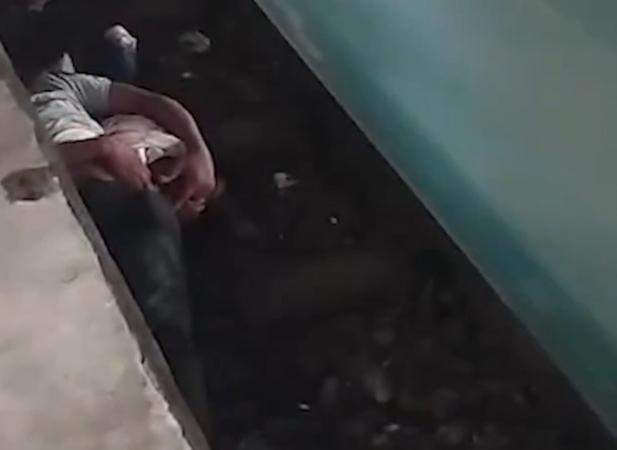 Homem pula no trilho para resgatar filho e ambos sobrevivem após trem passar sobre os dois