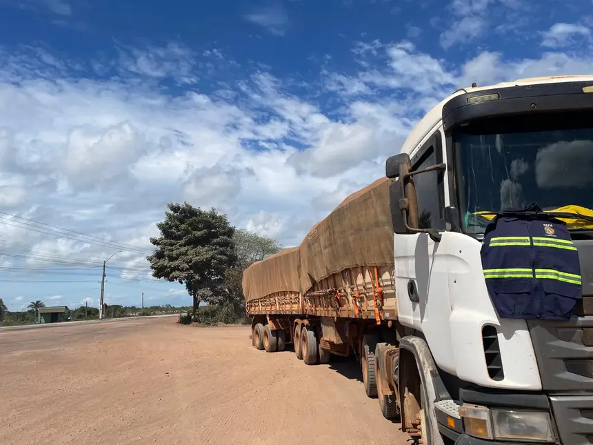 Sefa apreende carga de sementes de capim avaliada em R$ 60 mil durante fiscalização em Marabá