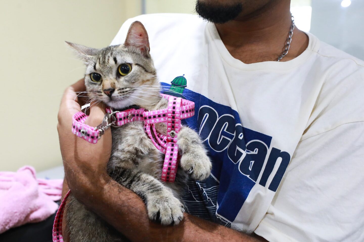 Atendimento veterinário gratuito chega a Icoaraci com unidade móvel da Sepda