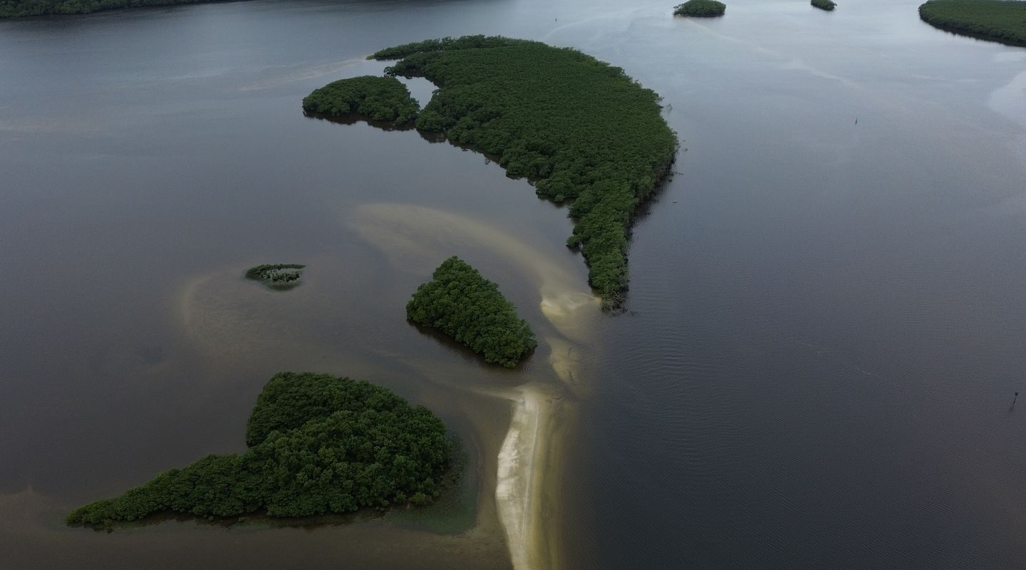 Carbono azul ganha espaço na agenda climática dos oceanos