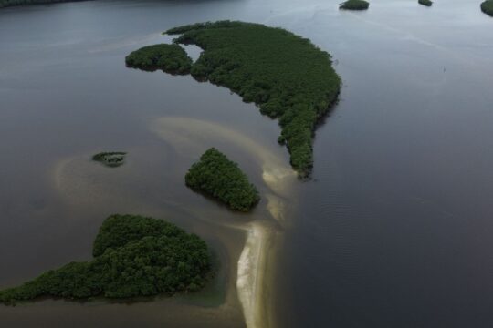Carbono azul ganha espaço na agenda climática dos oceanos
