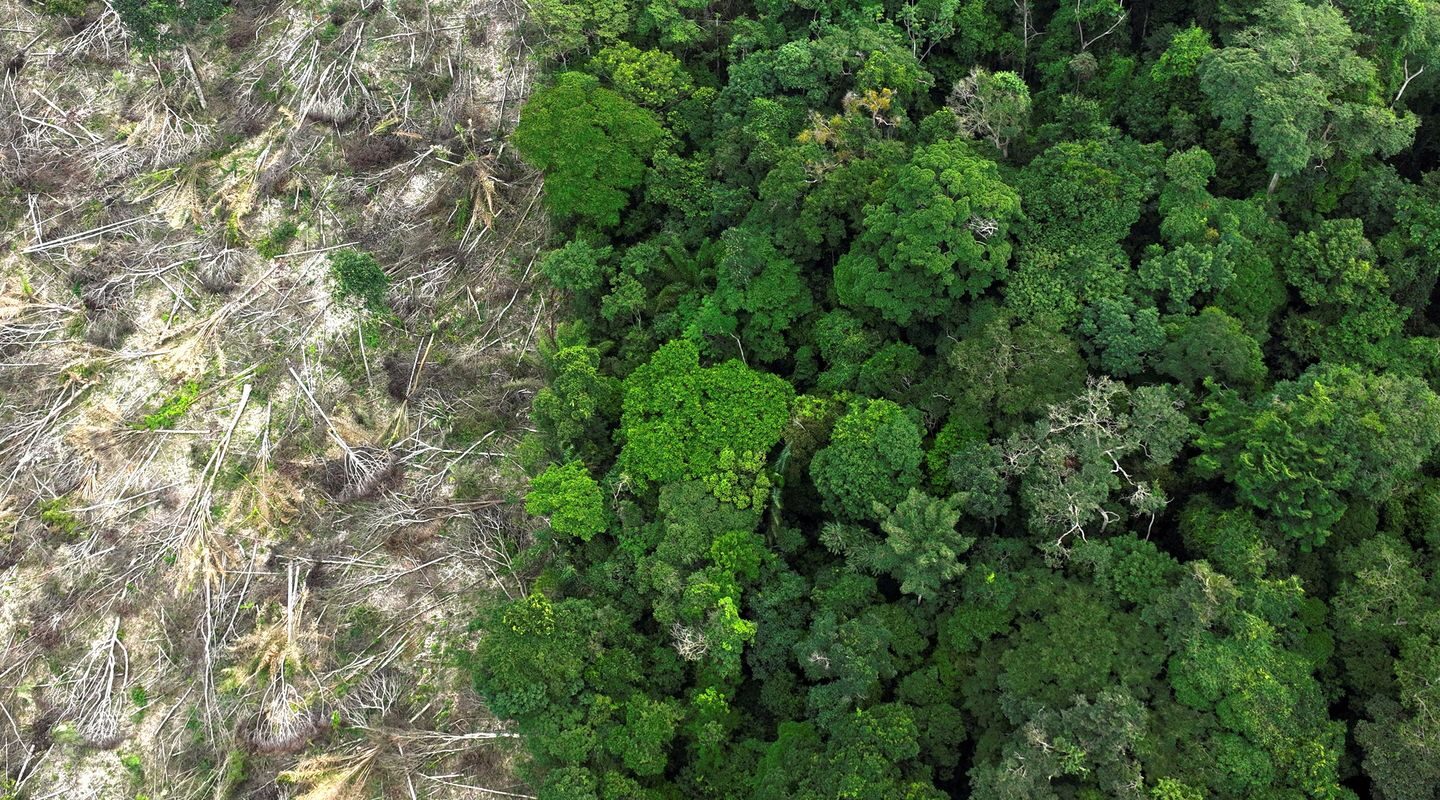 Crise climática é o pior desafio da história humana, diz cientista