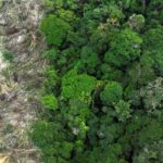 Crise climática é o pior desafio da história humana, diz cientista