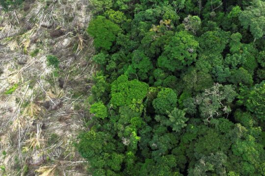 Crise climática é o pior desafio da história humana, diz cientista