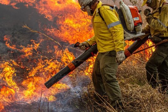 Governo repassa R$ 337 milhões para combate a incêndios e desmatamento