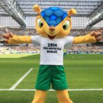 Mascote da Copa de 2014, tatu-bola deve ganhar plano de proteção