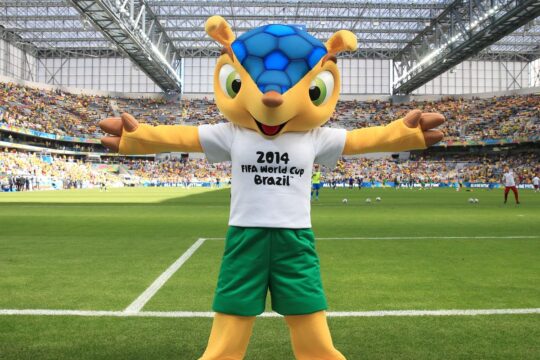 Mascote da Copa de 2014, tatu-bola deve ganhar plano de proteção