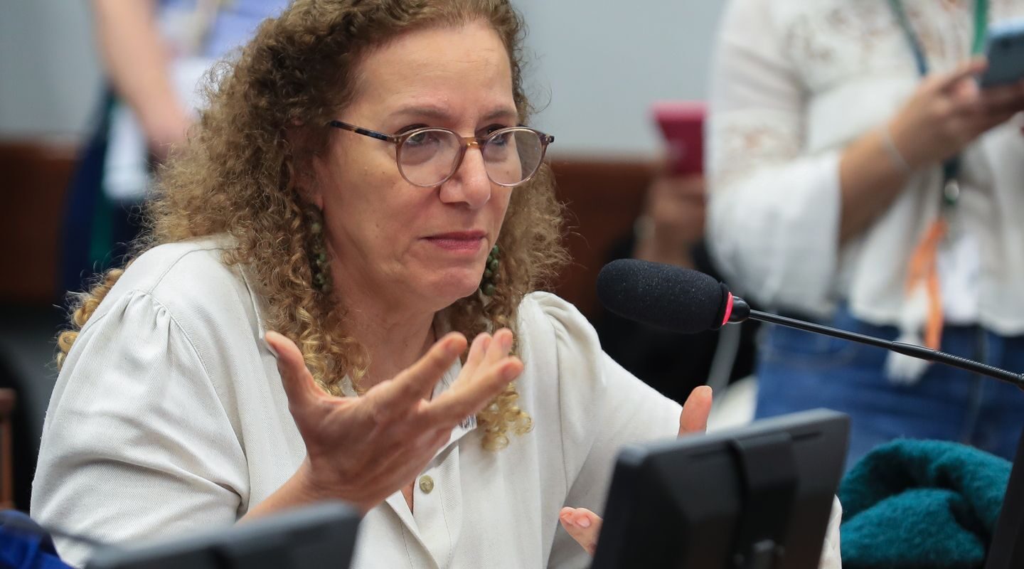 Parlamentares governistas vão aos EUA apresentar contraponto à direita