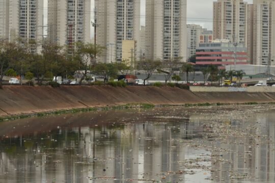 Rio Tietê não tem trecho livre de contaminação, diz SOS Mata Atlântica