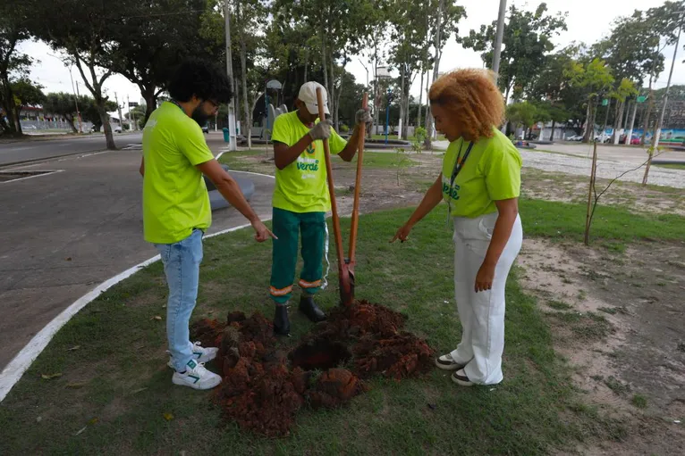 Belém lança maior Jardim de Chuva da cidade para reduzir alagamentos e ampliar áreas verdes