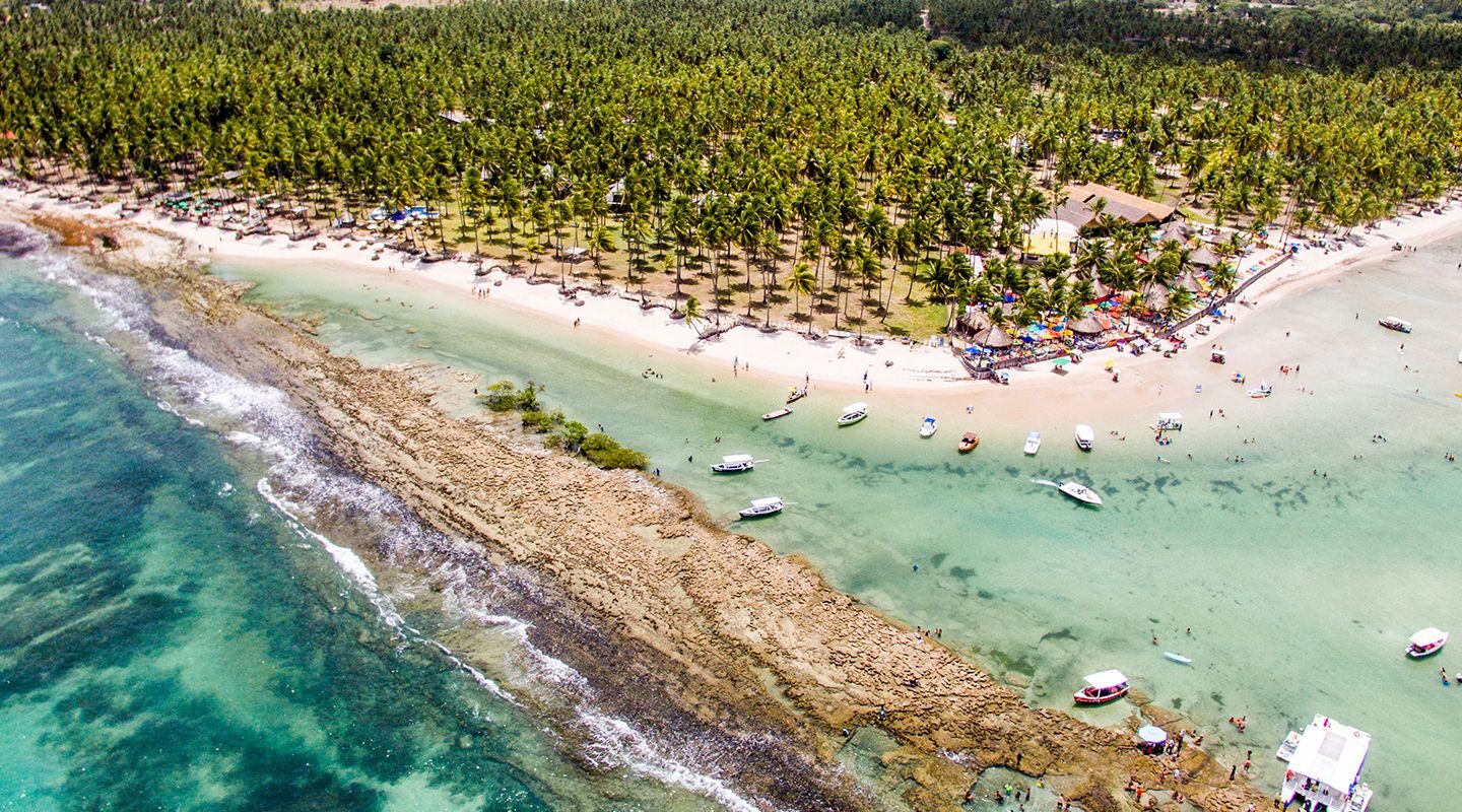 Barulho de barco e de turistas afeta comunicação de peixes, diz estudo