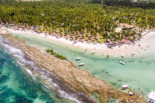 Barulho de barco e de turistas afeta comunicação de peixes, diz estudo