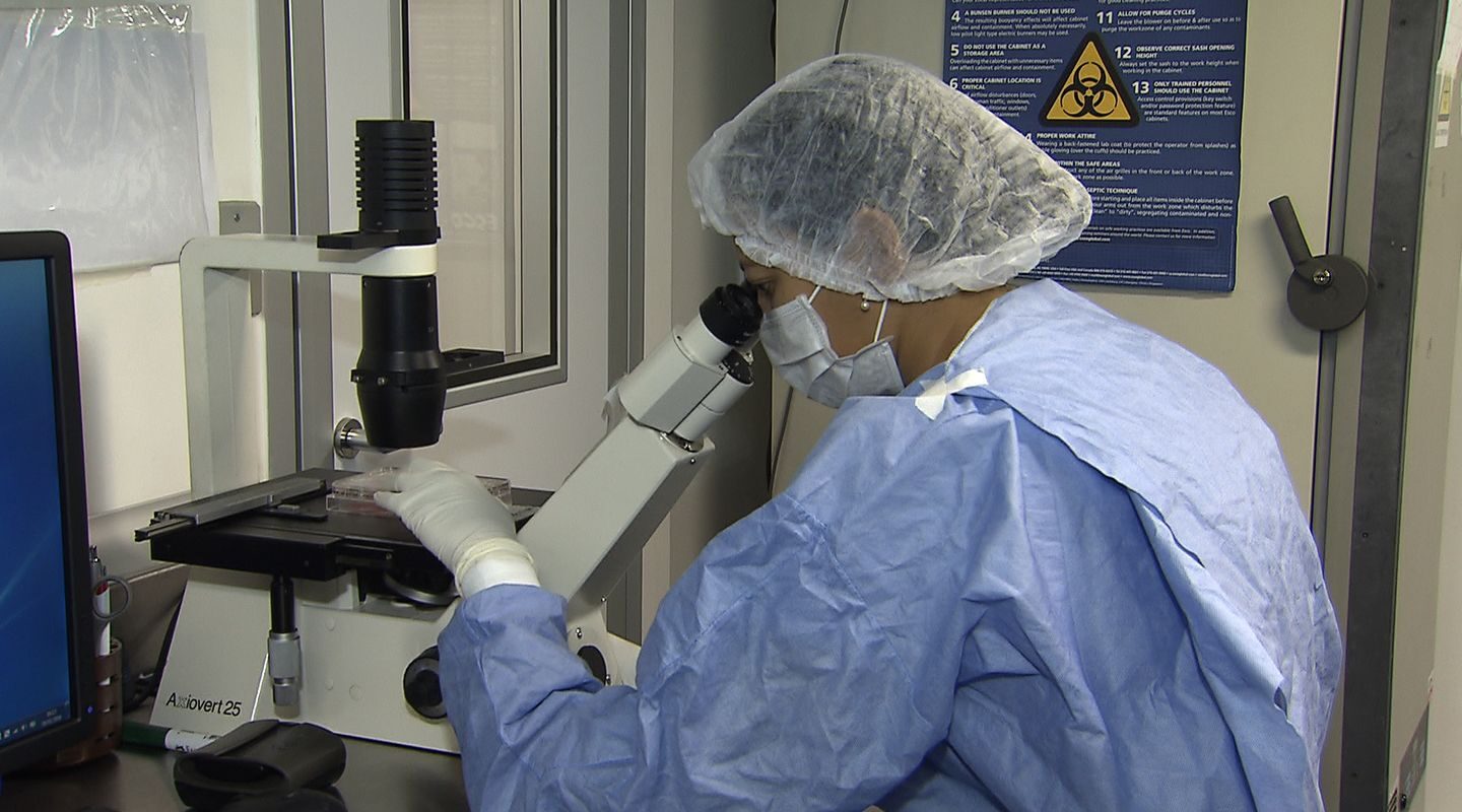 Como cientistas “curaram” infectados com HIV