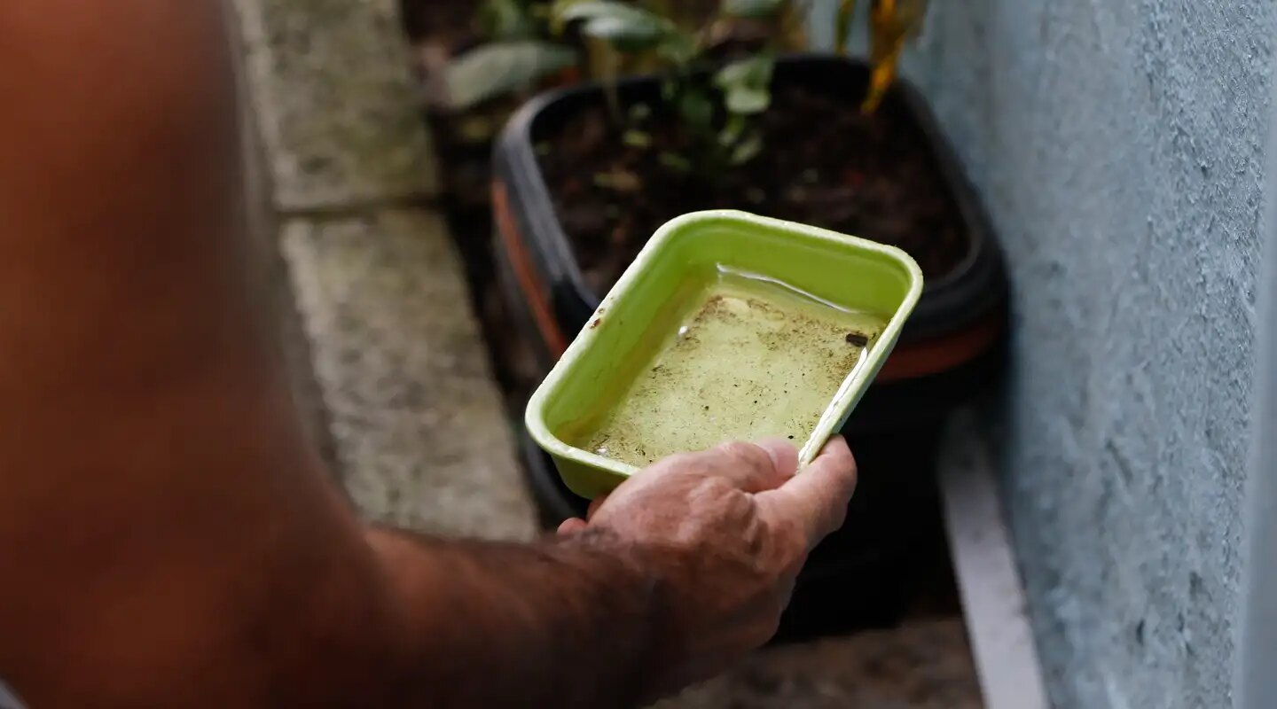 El Niño pode aumentar casos de chikungunya e dengue no Brasil