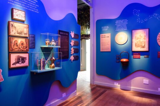 Exposição O Tempo das Plantas propõe troca cultural e desaceleração