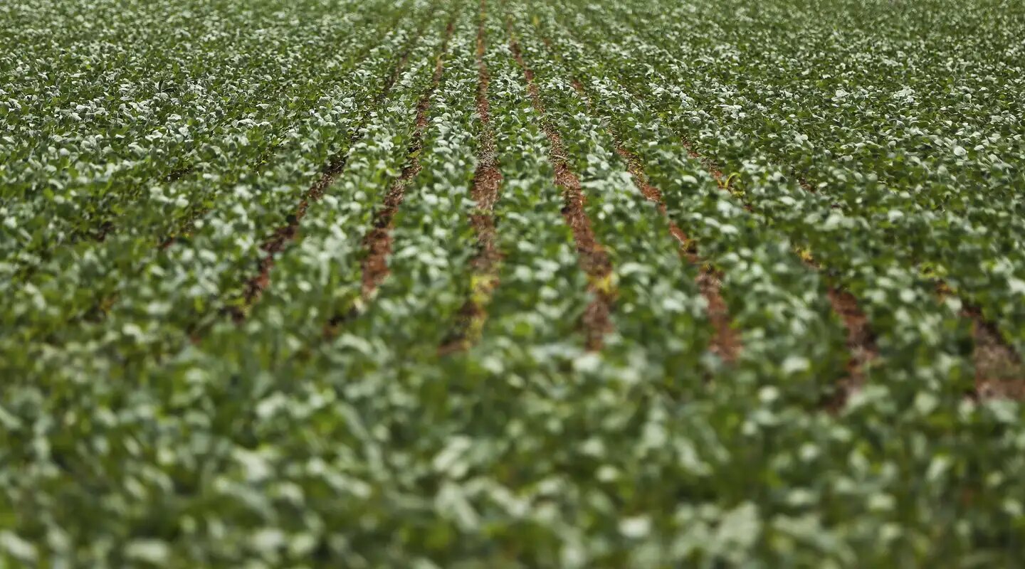 Reunião com bancada do agro termina sem acordo sobre dívidas rurais
