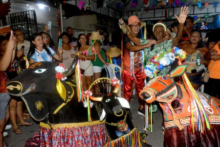 Edital seleciona artistas da cultura popular do Pará com prêmio de R$ 10 mil; veja como participar