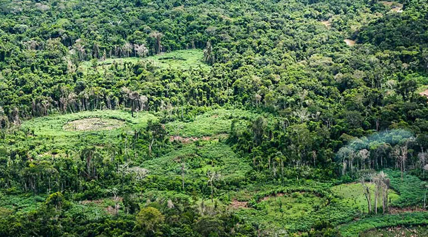 Amazônia: indígenas catalogam espécies para proteger biodiversidade