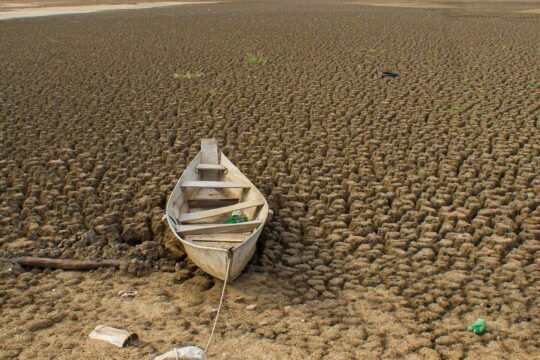 Brasil promete restaurar 163 mil km² de terras degradadas até 2030 