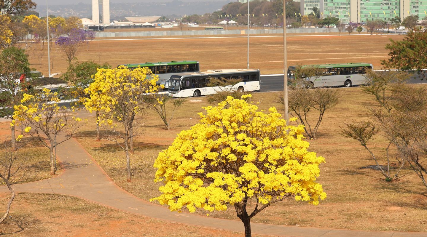 Centro-Oeste tem três alertas ativos para chuvas e baixa umidade