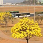 Centro-Oeste tem três alertas ativos para chuvas e baixa umidade