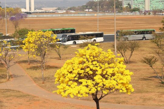 Centro-Oeste tem três alertas ativos para chuvas e baixa umidade