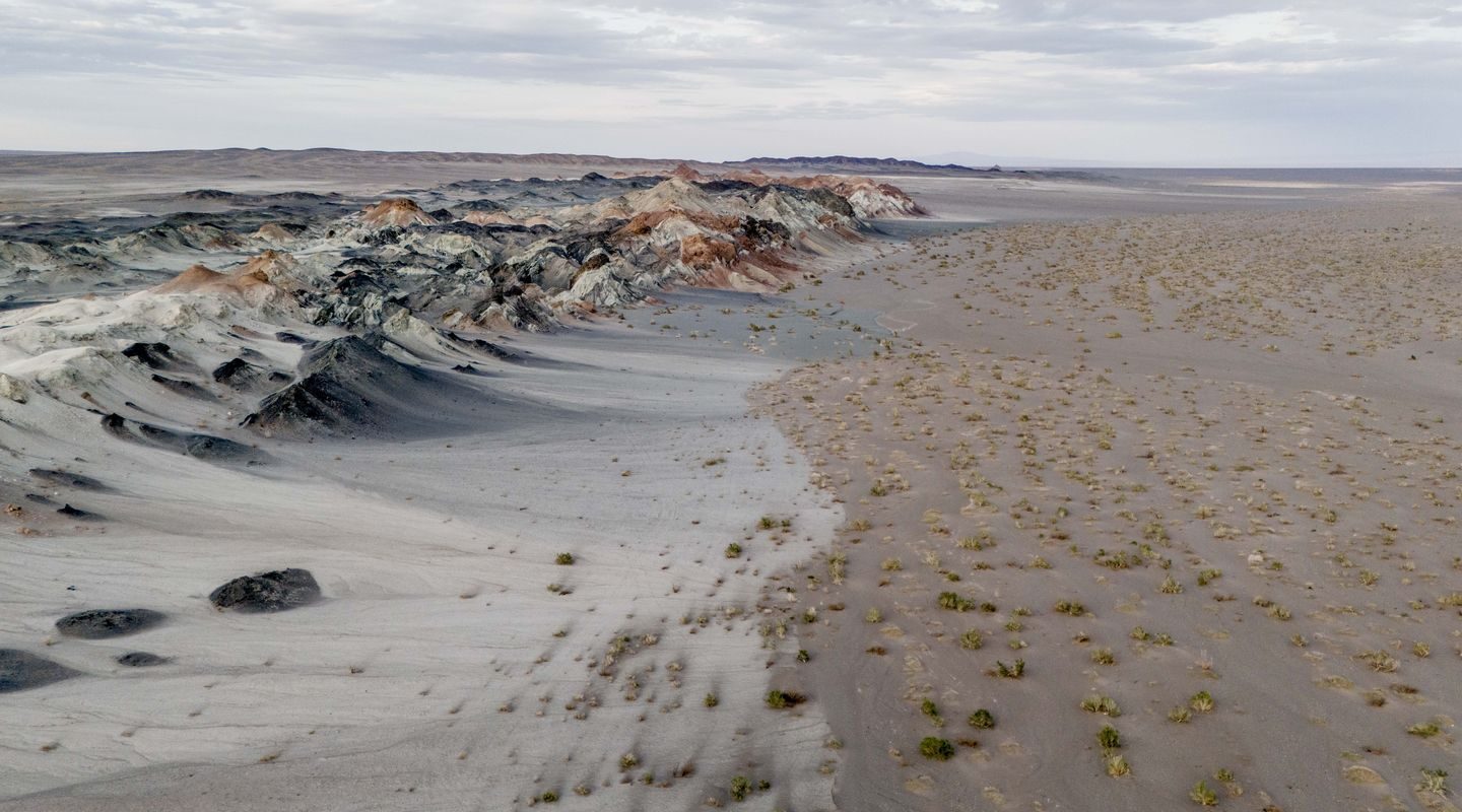Fungos podem restaurar terras degradadas e combater crise climática