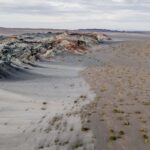 Fungos podem restaurar terras degradadas e combater crise climática