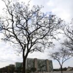 Grande parte do país tem temperaturas elevadas nesta terça-feira