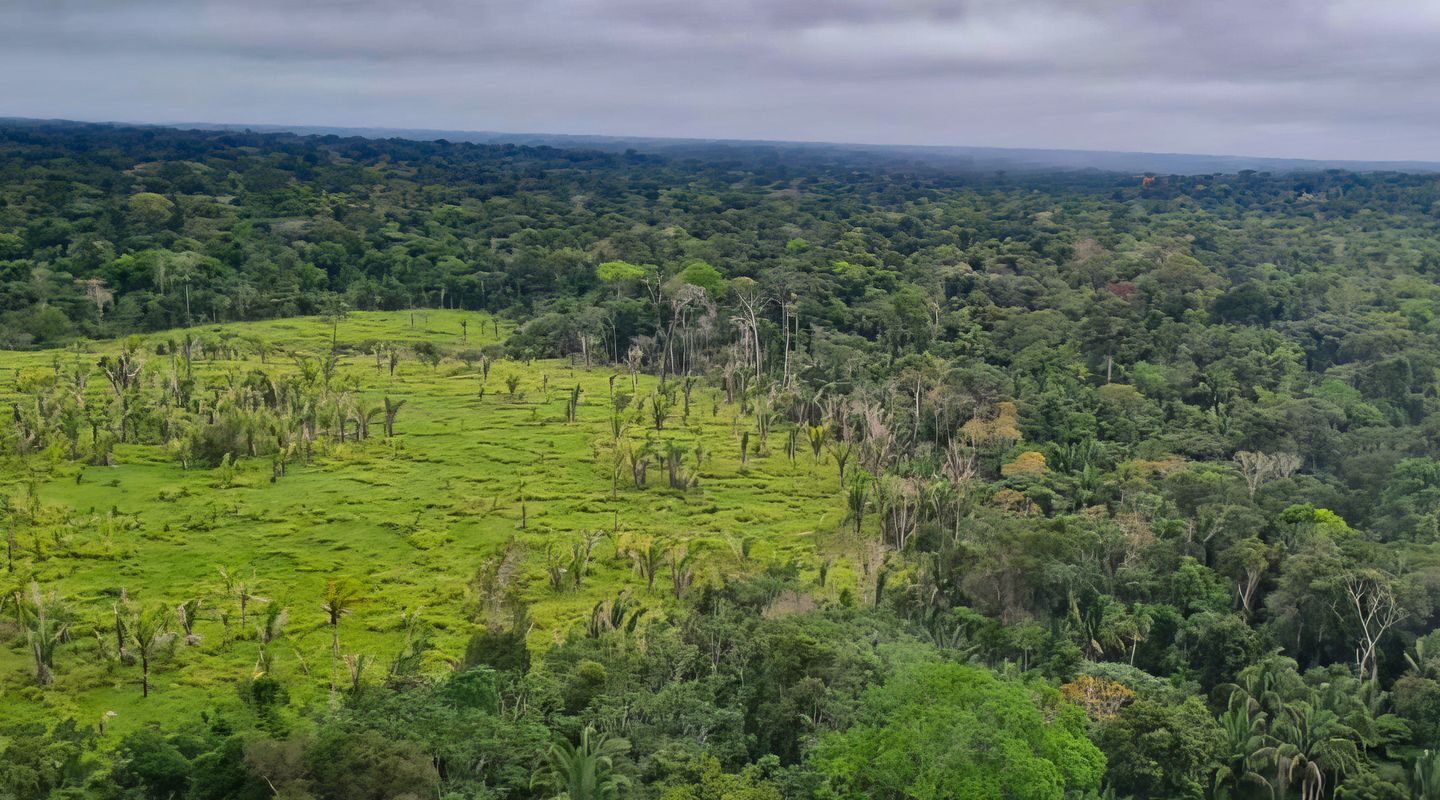 Imazon aponta desmatamento zero em 60% de terras indígenas na Amazônia