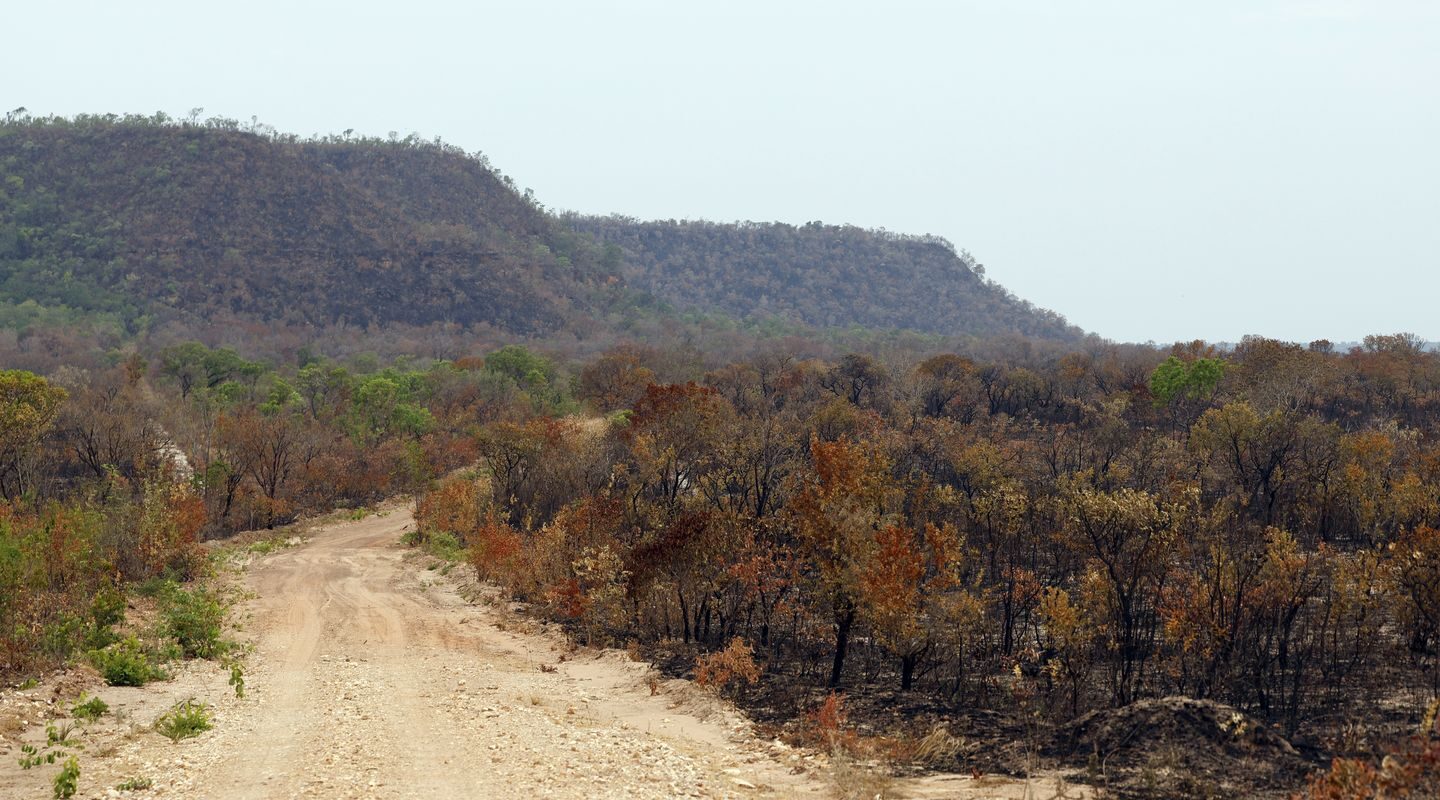 Mapbiomas: menor vegetação nativa expõe mais o país ao El Niño